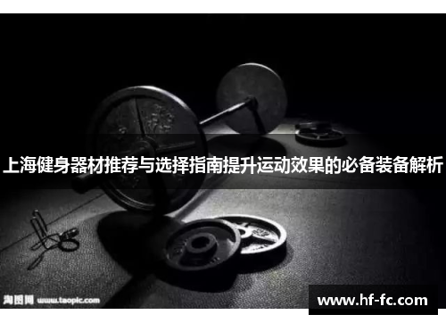 上海健身器材推荐与选择指南提升运动效果的必备装备解析